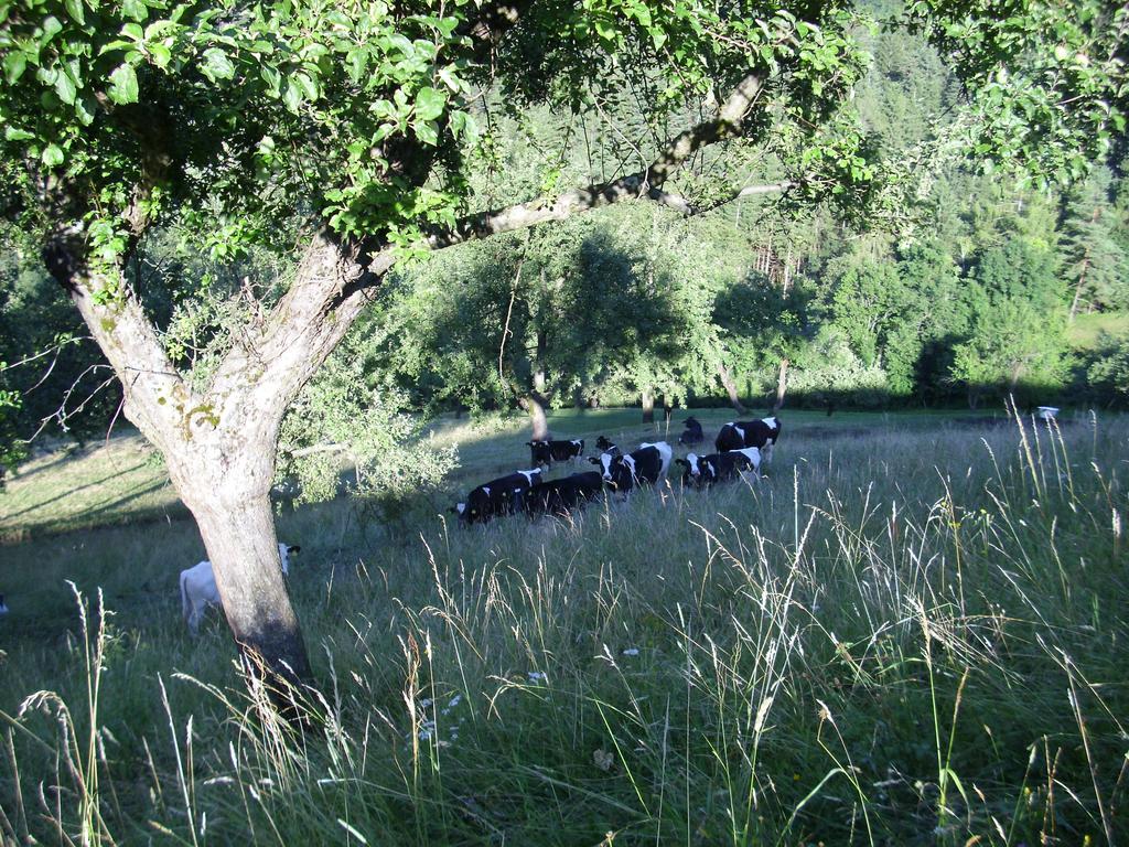 Farm Stay Zagar Mozirje Eksteriør billede