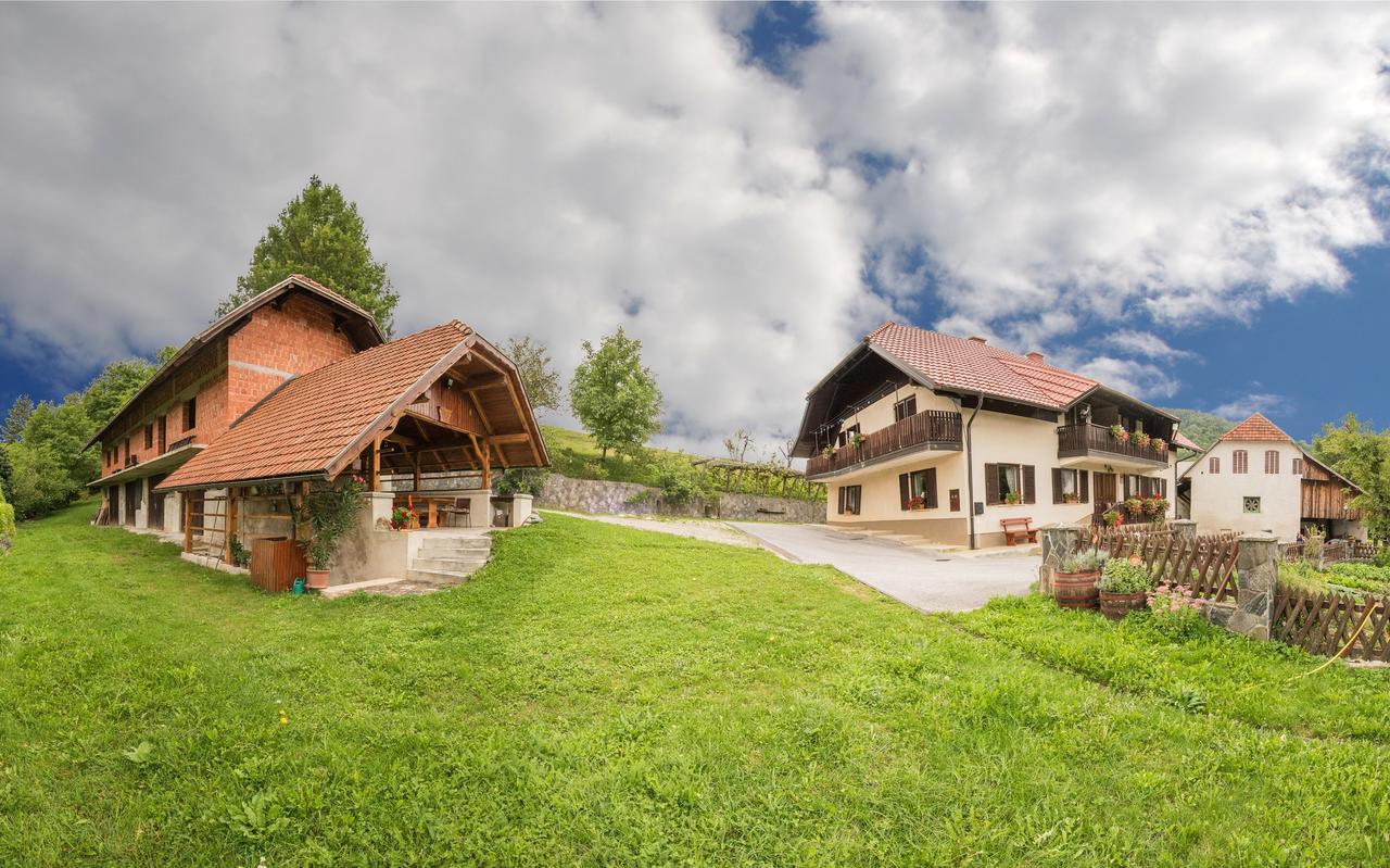 Farm Stay Zagar Mozirje Eksteriør billede