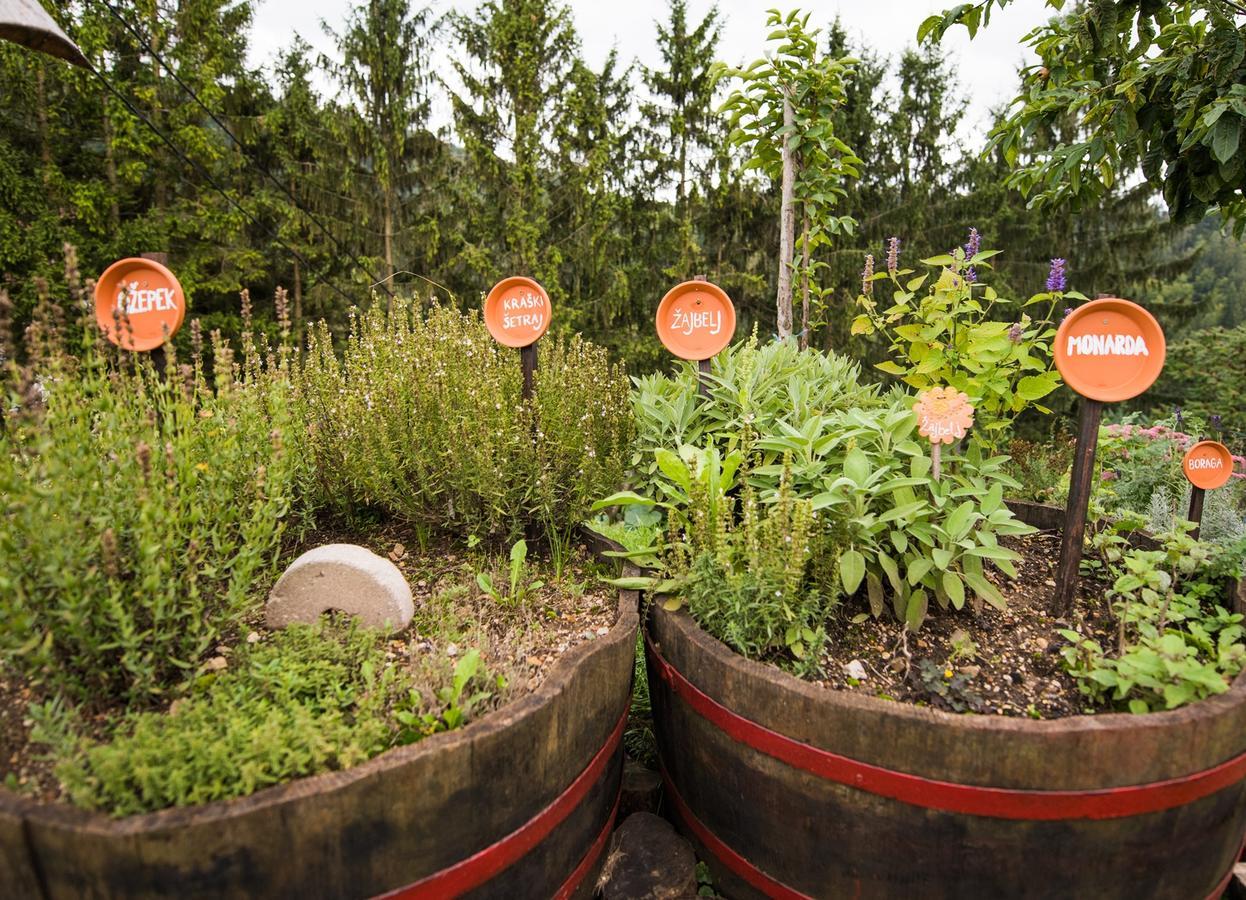Farm Stay Zagar Mozirje Eksteriør billede